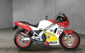 YAMAHA TZR250 1KT