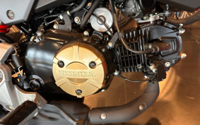 HONDA GROM JC75