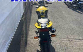 HONDA HORNET250