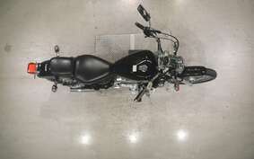 YAMAHA VIRAGO 250 3DM