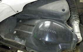 HONDA FORESIGHT EX MF04