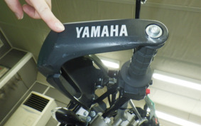 YAMAHA WR250X DG15J