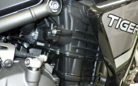 TRIUMPH TIGER 1200 RALLY EX 2023 AP23VU