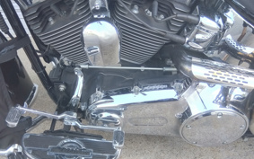 HARLEY HARLEY FLSTC 2009 BW5