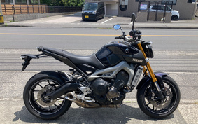 YAMAHA MT-09 2014 RN34J