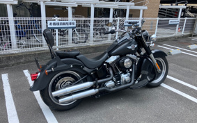 HARLEY  HARLEY FLSTFB 2010 JN5