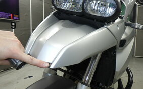 BMW F650GS 2011 0218