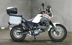 YAMAHA XT660 TENERE Z 2009 DM021