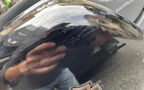 HARLEY  HARLEY FXLRST 2022 YXZ