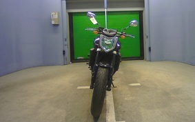 YAMAHA FZ FAZER 2009 RN16