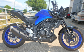 YAMAHA MT-25 RG43J