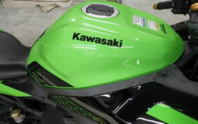 KAWASAKI ZX-25R ZX250E