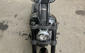 HARLEY  HARLEY FXLRS 2020 YWK