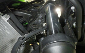 KAWASAKI NINJA 250 ABS EX250L