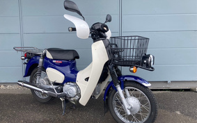 HONDA C110 SUPER CUB PRO JA42