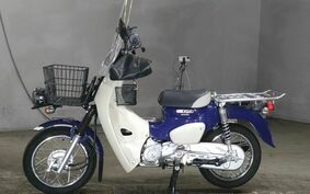 HONDA C110 SUPER CUB PRO JA42