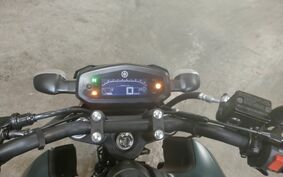 YAMAHA FZS RG66