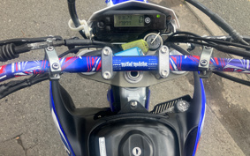 YAMAHA WR250R DG15J