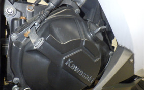 KAWASAKI NINJA 250 EX250L