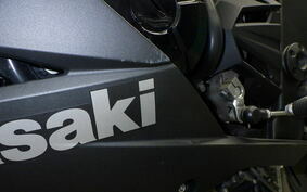 KAWASAKI NINJA 250 EX250L