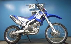 YAMAHA WR250R 2007 DG15J