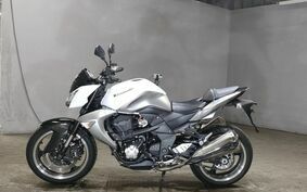 KAWASAKI Z1000 2010 ZRT00B