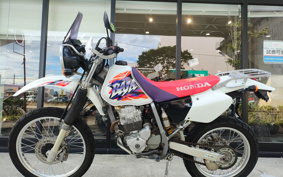 HONDA XR250 BAJA MD30
