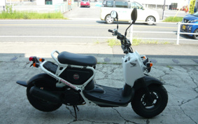 HONDA ZUMAR AF58
