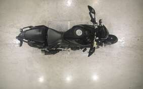 YAMAHA MT-25 RG43J