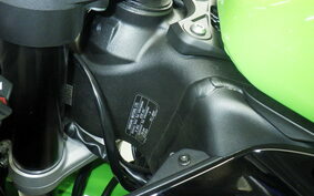 KAWASAKI NINJA ZX-6R A 2022 ZX636G