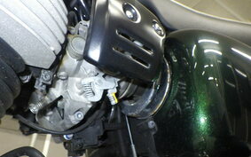 KAWASAKI W800 2020 EJ800B