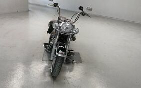 HARLEY FLSTC 1690 2017 BWV