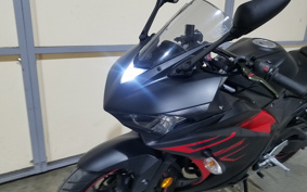 YAMAHA YZF-R25 RG43J