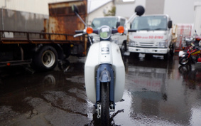 HONDA C50 SUPER CUB DX C50