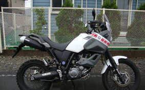 YAMAHA XT660 TENERE Z 2010 DM02