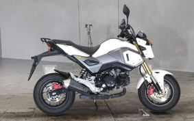 HONDA GU ROM JC61