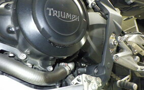 TRIUMPH STREET TRIPLE R 2009