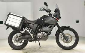 YAMAHA XT660 TENERE Z 2010 DM02