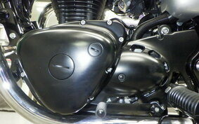 KAWASAKI W800 CAFE 2020 EJ800B