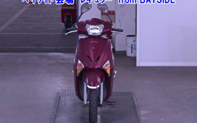 OTHER  LEAD 110EX