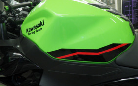 KAWASAKI NINJA 400 2022 EX400G