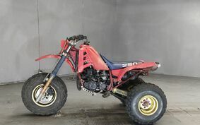 HONDA ATC250 R TB06