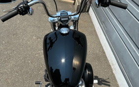 HARLEY HARLEY FXST1340-1450 2022 BVJ