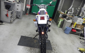 YAMAHA TT250R RAID 4GY