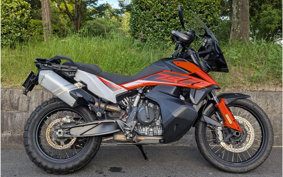 KTM 790 ADVENTURE 2019 TS340