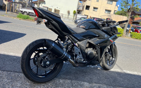 SUZUKI GSX250R DN11A