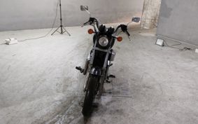 HONDA SHADOW750 RC25