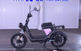 OTHER MINI BIKE