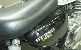 SUZUKI ST250E NJ4CA