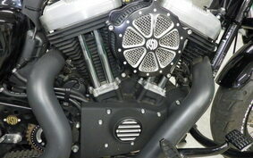 HARLEY XL1200X 2013